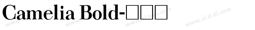 Camelia Bold字体转换 Camelia Bold字体转换
